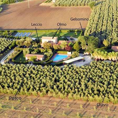 Podere Campi Al Mare Доноратико Екстериор снимка