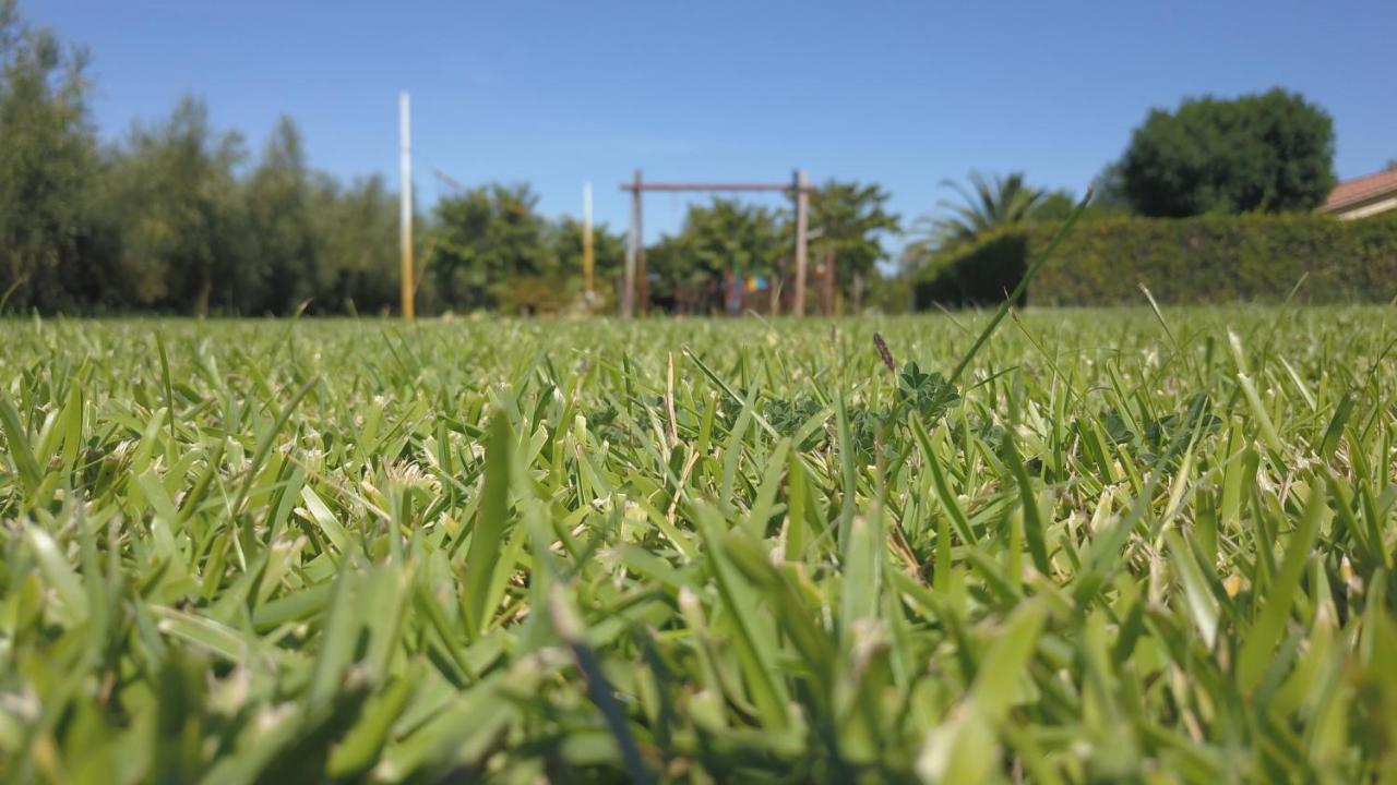 Podere Campi Al Mare Доноратико Екстериор снимка