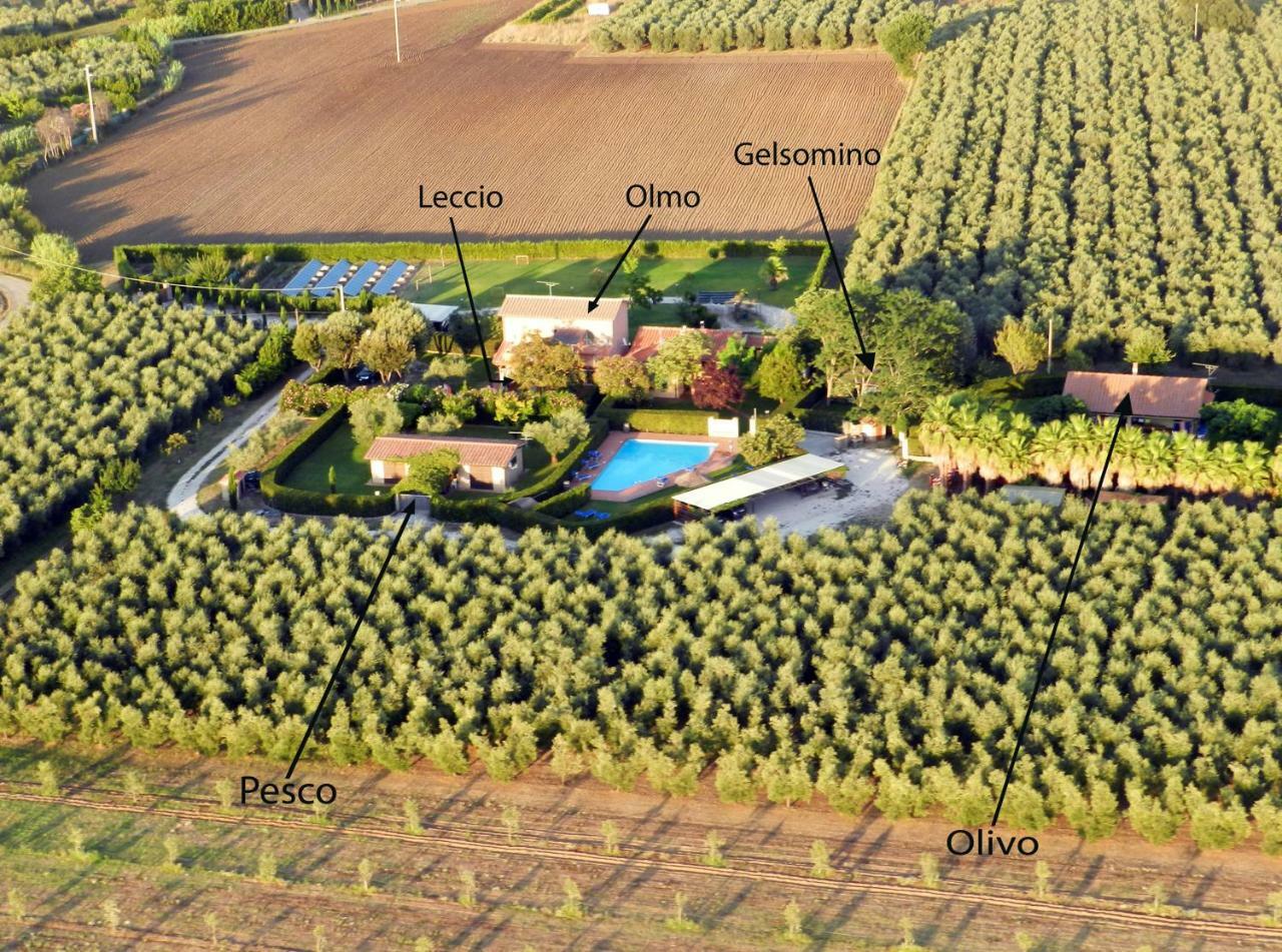 Podere Campi Al Mare Доноратико Екстериор снимка